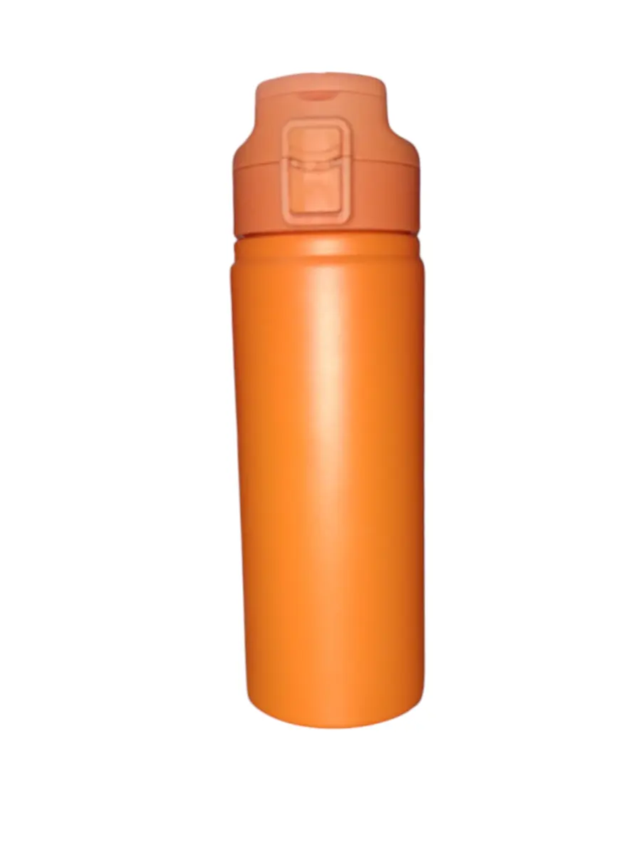 BOTELLA TÉRMICA SHI ZHI 600ML