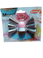 SET 6 PICOS + ADAPTADOR BAK